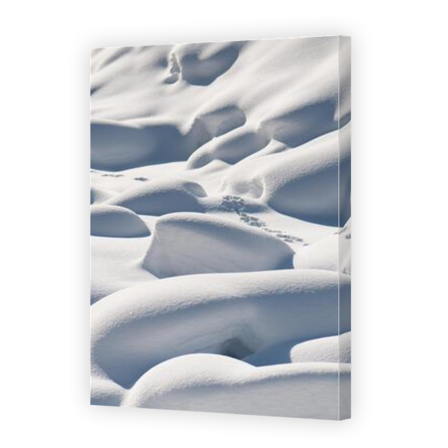 Thumbnail for Canvas - Gallery Canvas Wrap