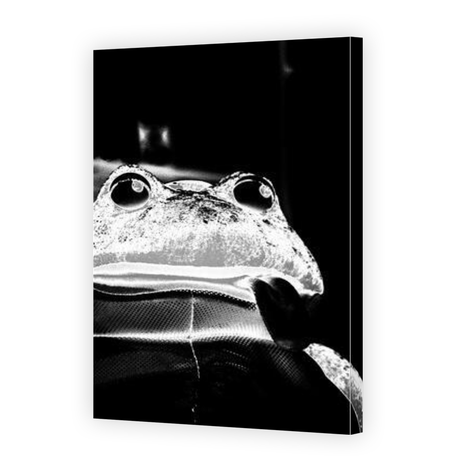 Thumbnail for Canvas - Gallery Canvas Wrap