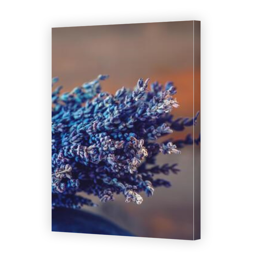 Thumbnail for Canvas - Gallery Canvas Wrap
