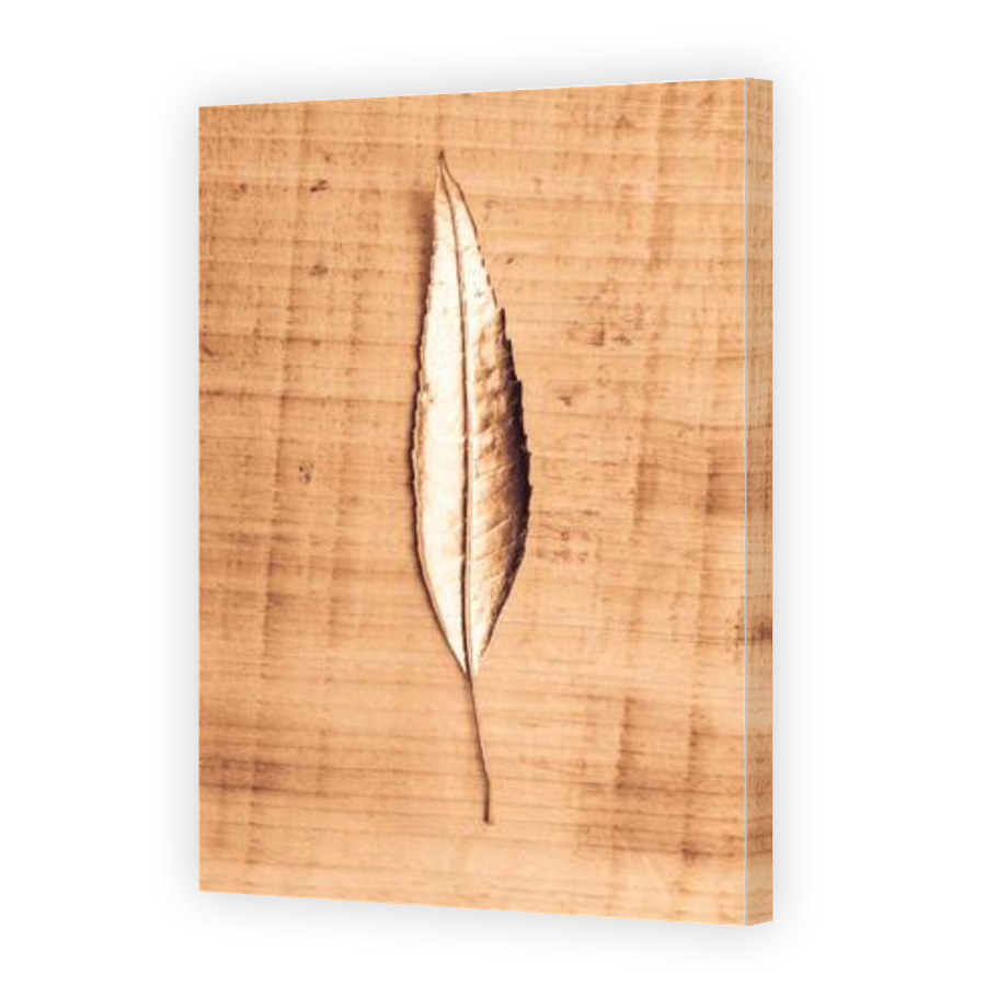 Thumbnail for Canvas - Gallery Canvas Wrap