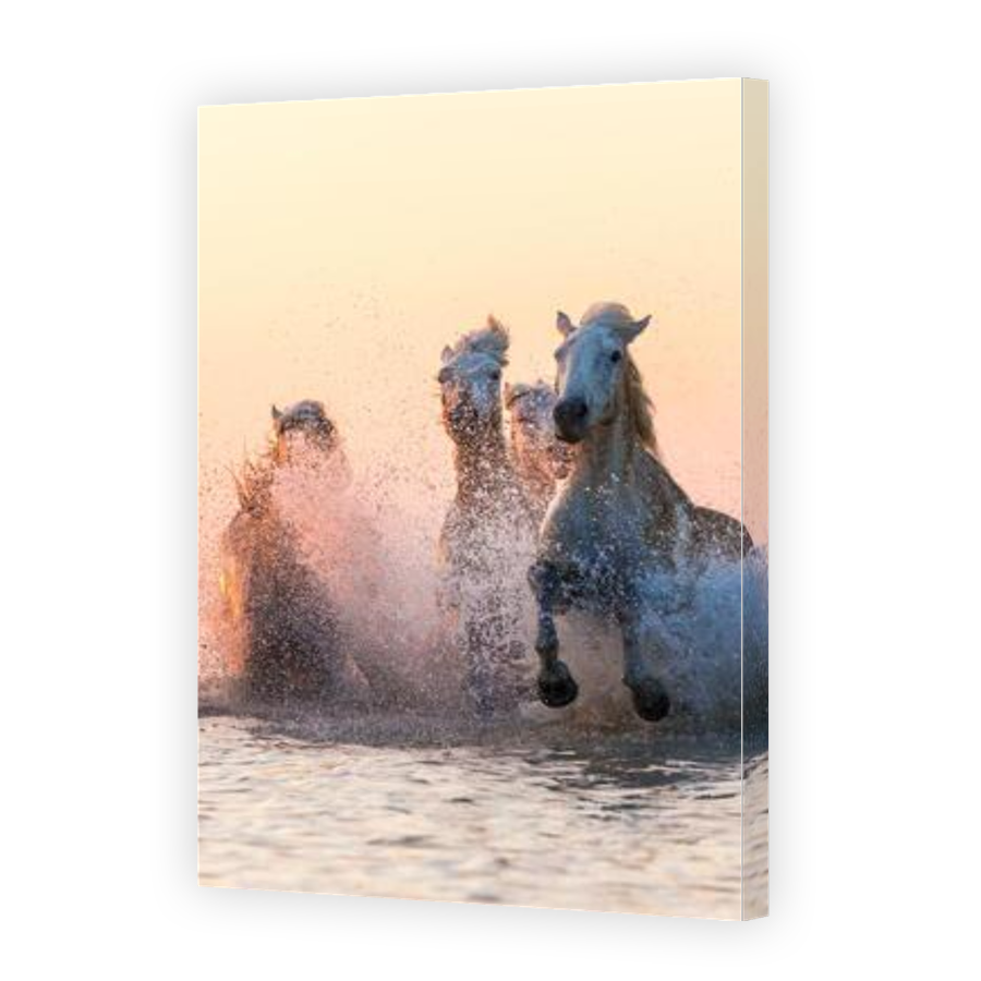 Thumbnail for Canvas - Gallery Canvas Wrap