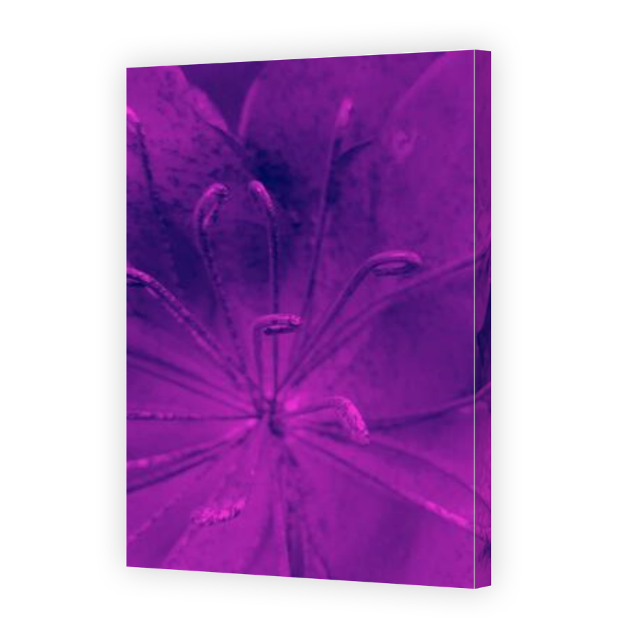 Thumbnail for Canvas - Gallery Canvas Wrap