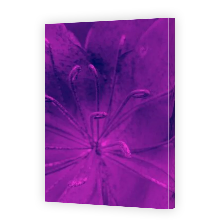 Thumbnail for Canvas - Gallery Canvas Wrap