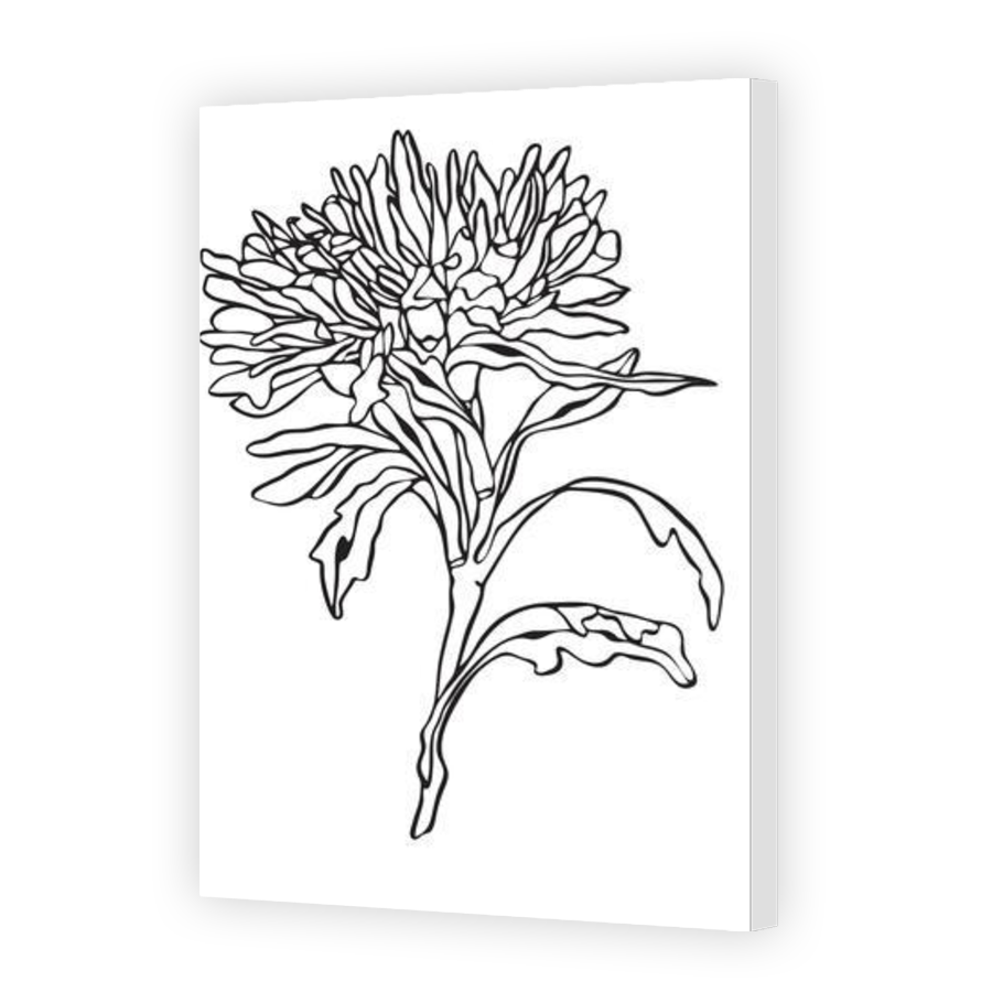 Thumbnail for Canvas - Gallery Canvas Wrap
