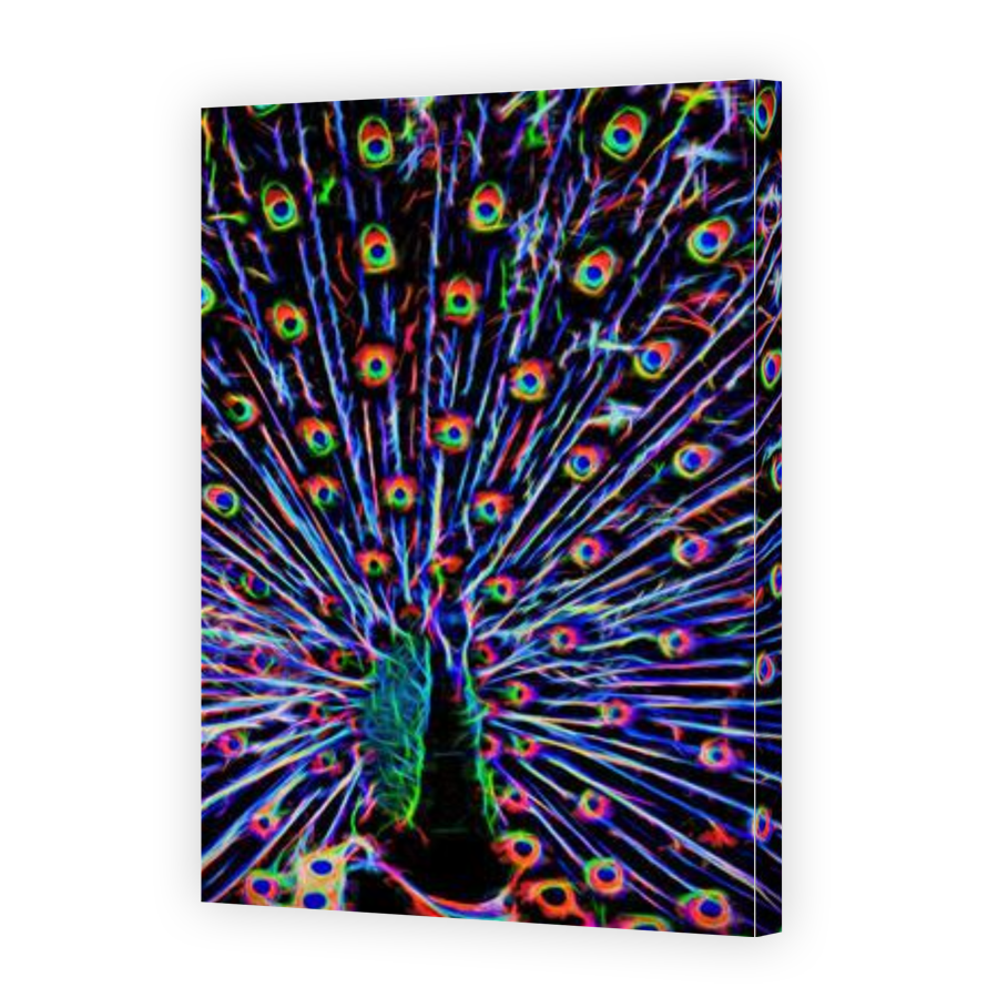 Thumbnail for Canvas - Gallery Canvas Wrap
