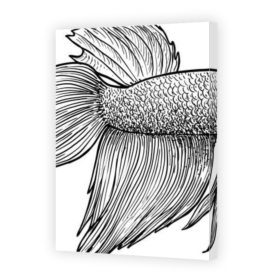 Thumbnail for Canvas - Gallery Canvas Wrap