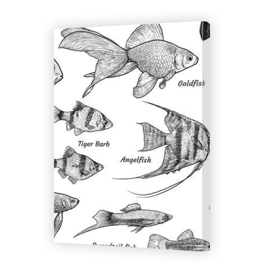 Thumbnail for Canvas - Gallery Canvas Wrap