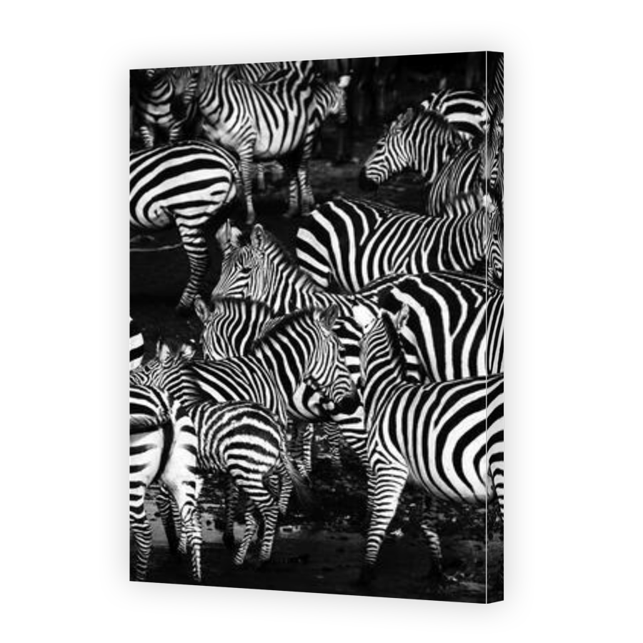 Thumbnail for Canvas - Gallery Canvas Wrap