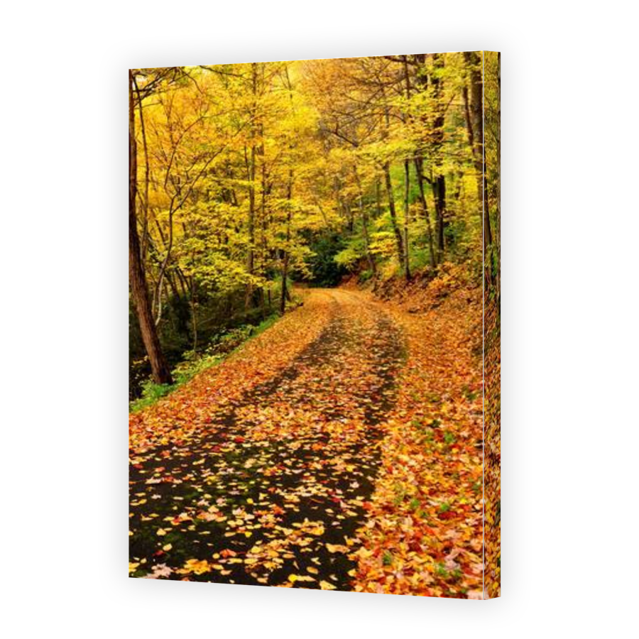 Thumbnail for Canvas - Gallery Canvas Wrap