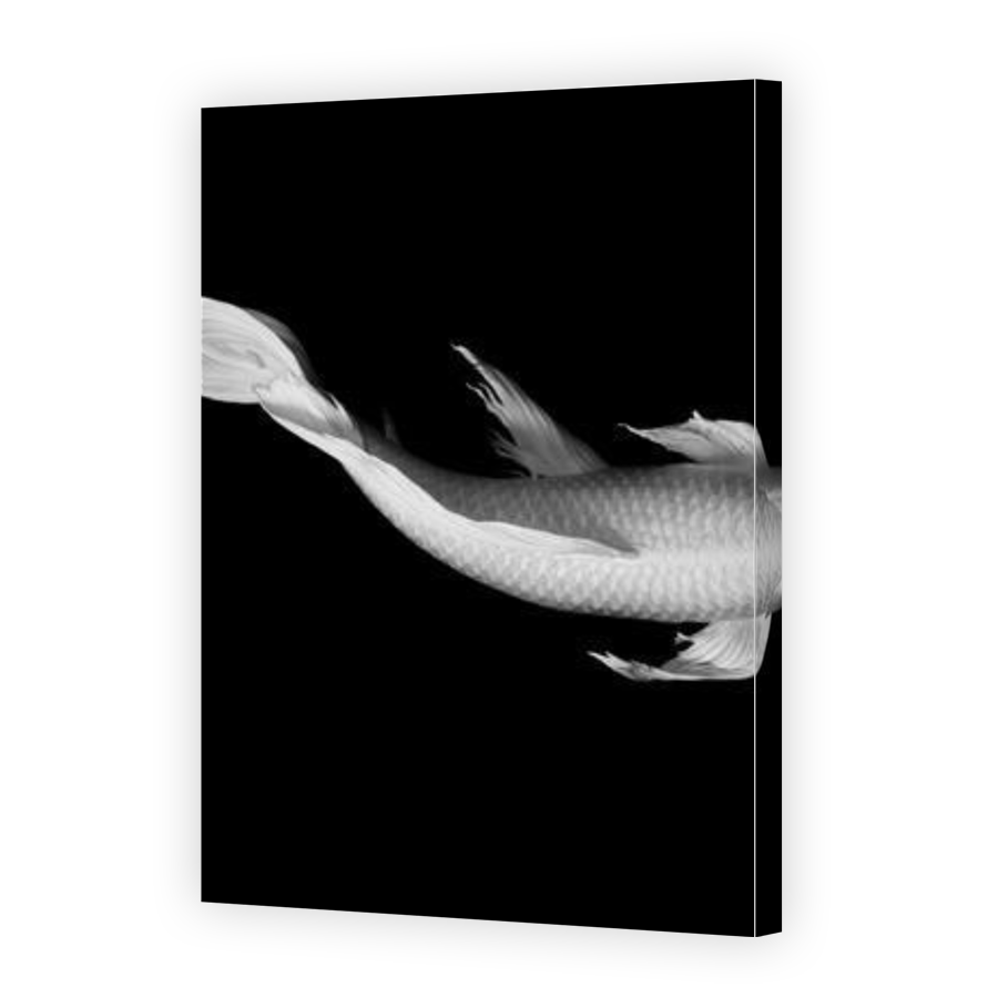 Thumbnail for Canvas - Gallery Canvas Wrap