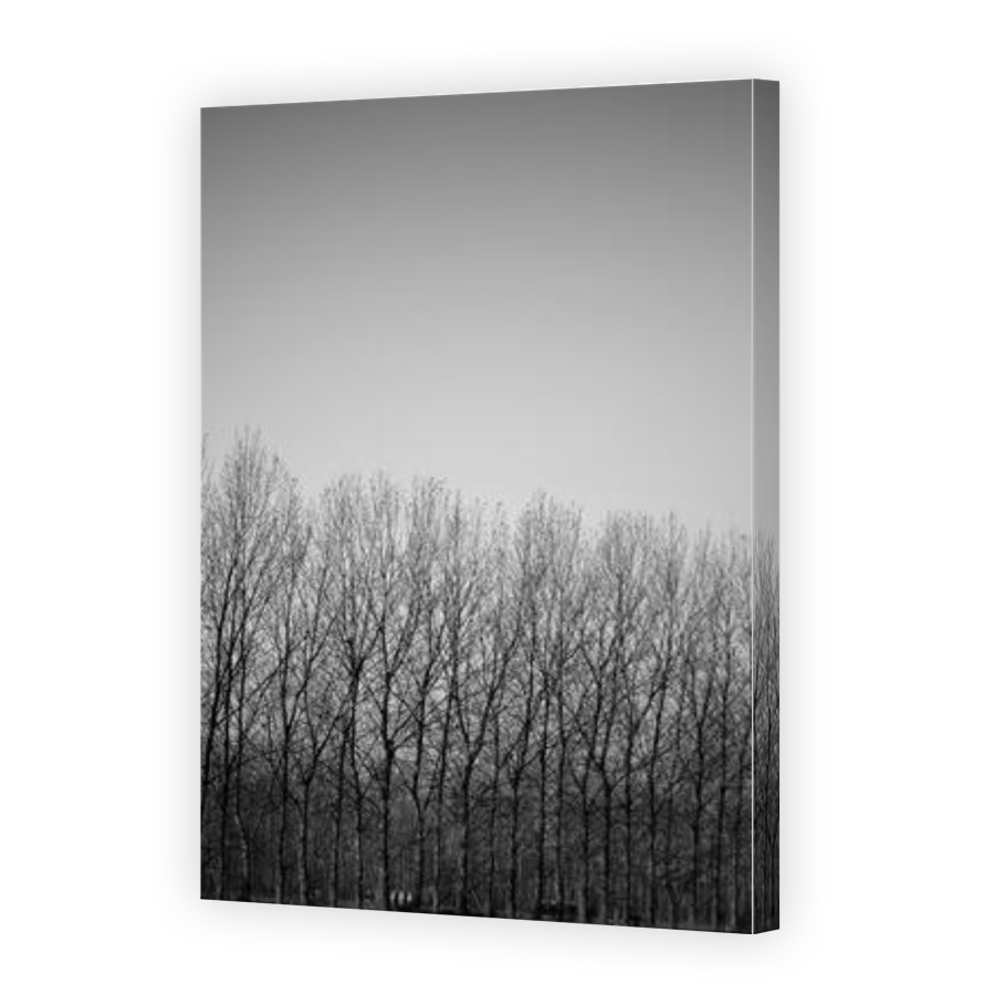 Thumbnail for Canvas - Gallery Canvas Wrap