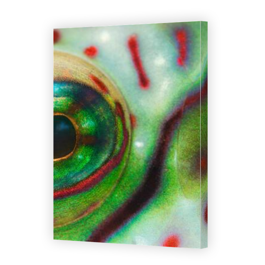 Thumbnail for Canvas - Gallery Canvas Wrap