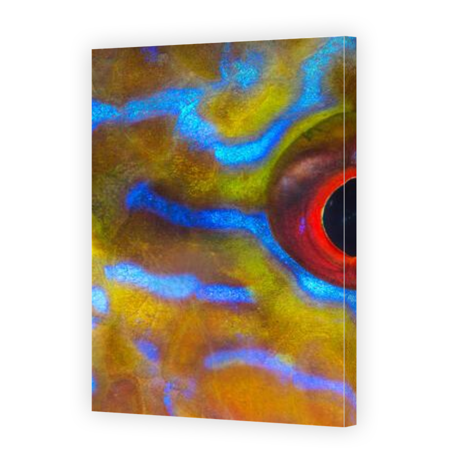 Thumbnail for Canvas - Gallery Canvas Wrap