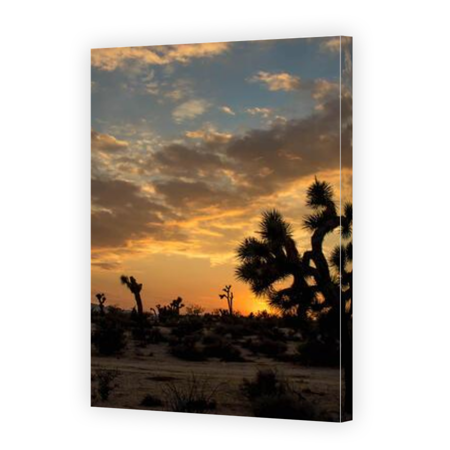 Thumbnail for Canvas - Gallery Canvas Wrap