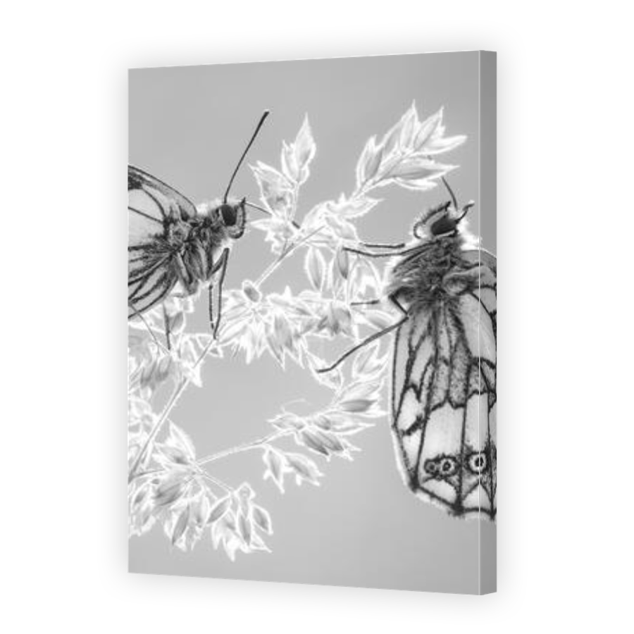 Thumbnail for Canvas - Gallery Canvas Wrap