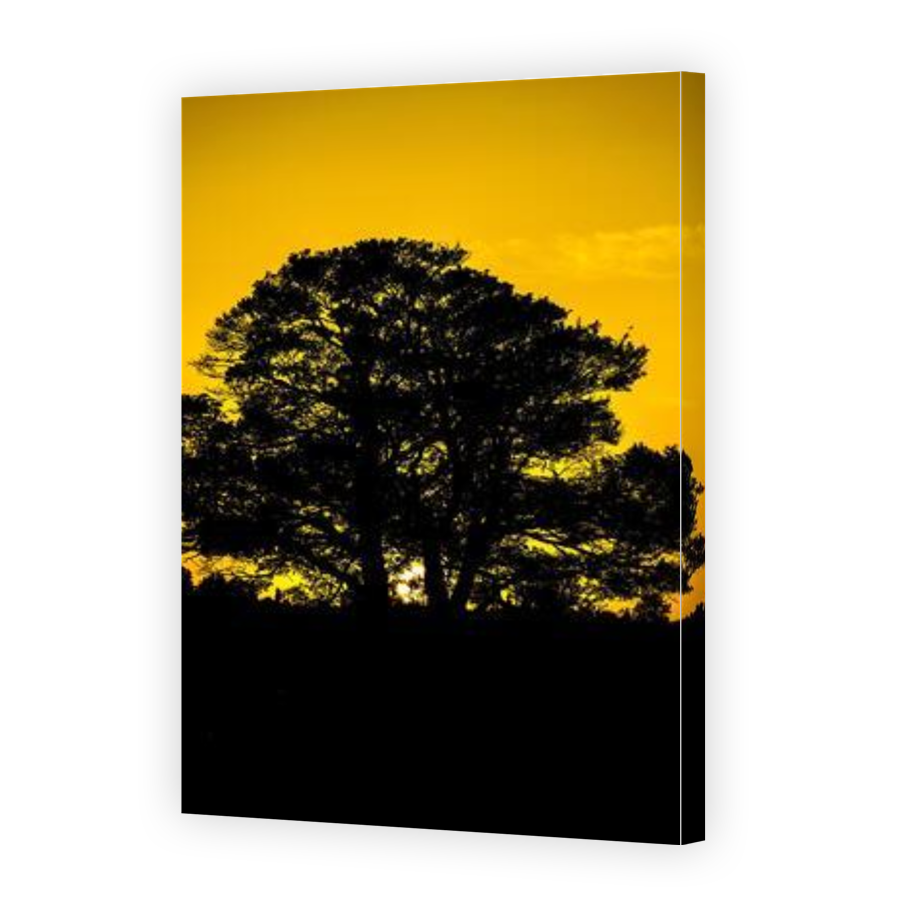 Thumbnail for Canvas - Gallery Canvas Wrap