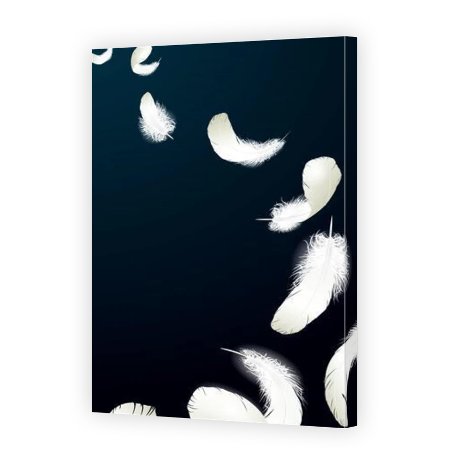 Thumbnail for Canvas - Gallery Canvas Wrap
