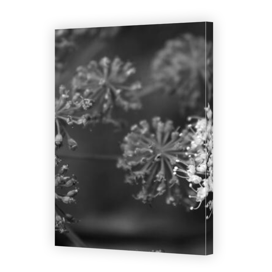 Thumbnail for Canvas - Gallery Canvas Wrap