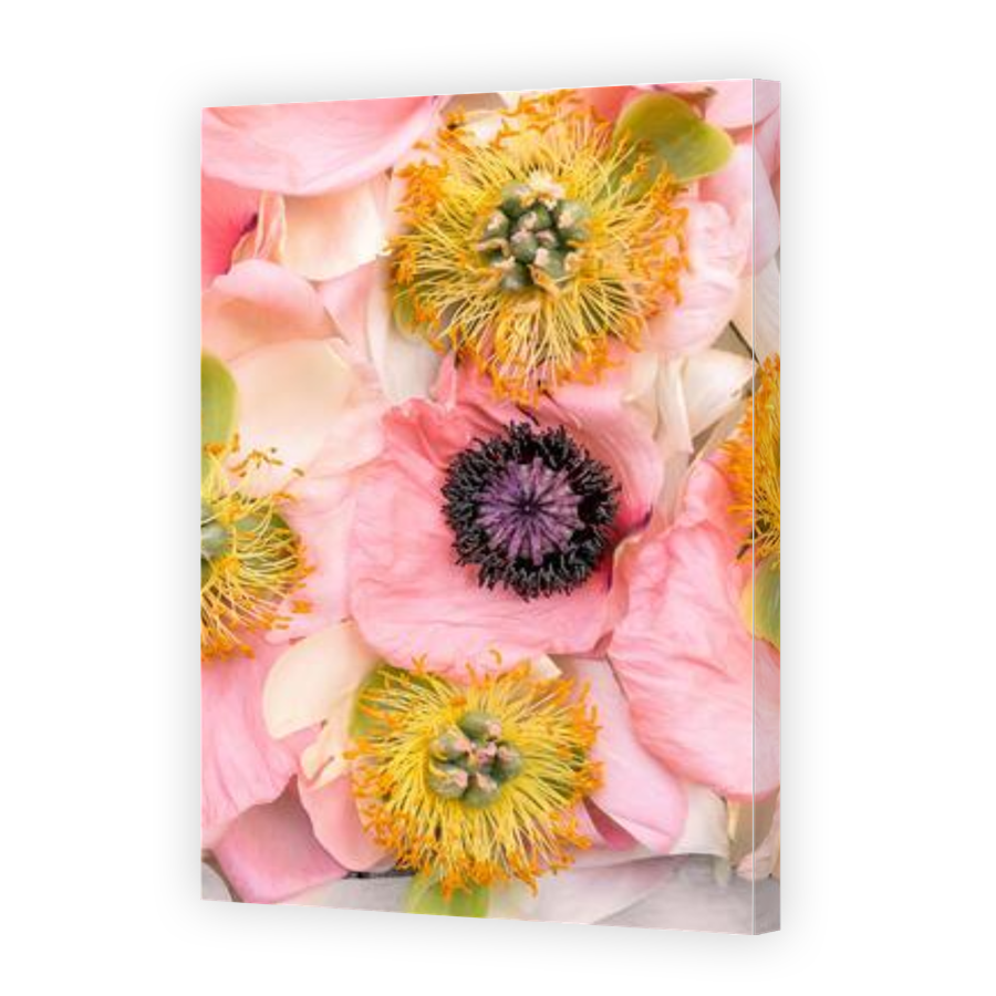 Thumbnail for Canvas - Gallery Canvas Wrap