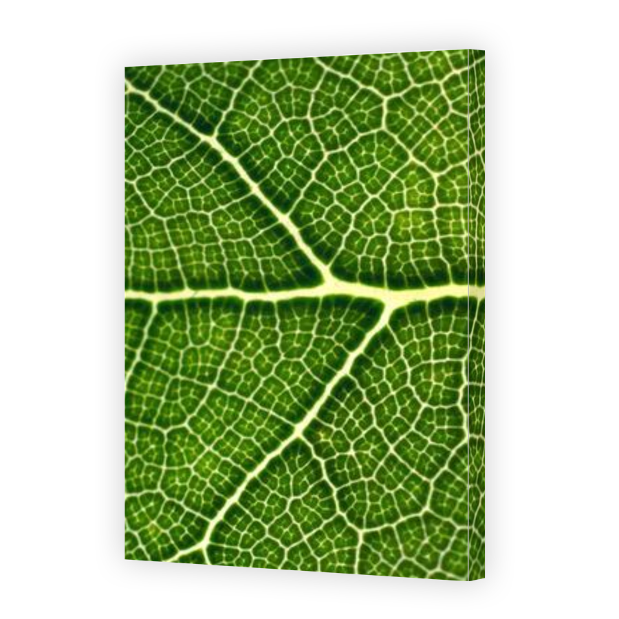 Thumbnail for Canvas - Gallery Canvas Wrap