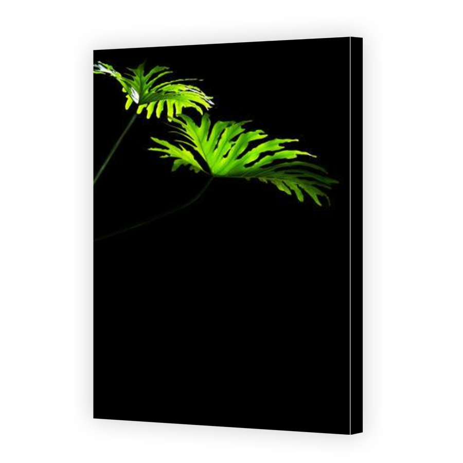 Thumbnail for Canvas - Gallery Canvas Wrap