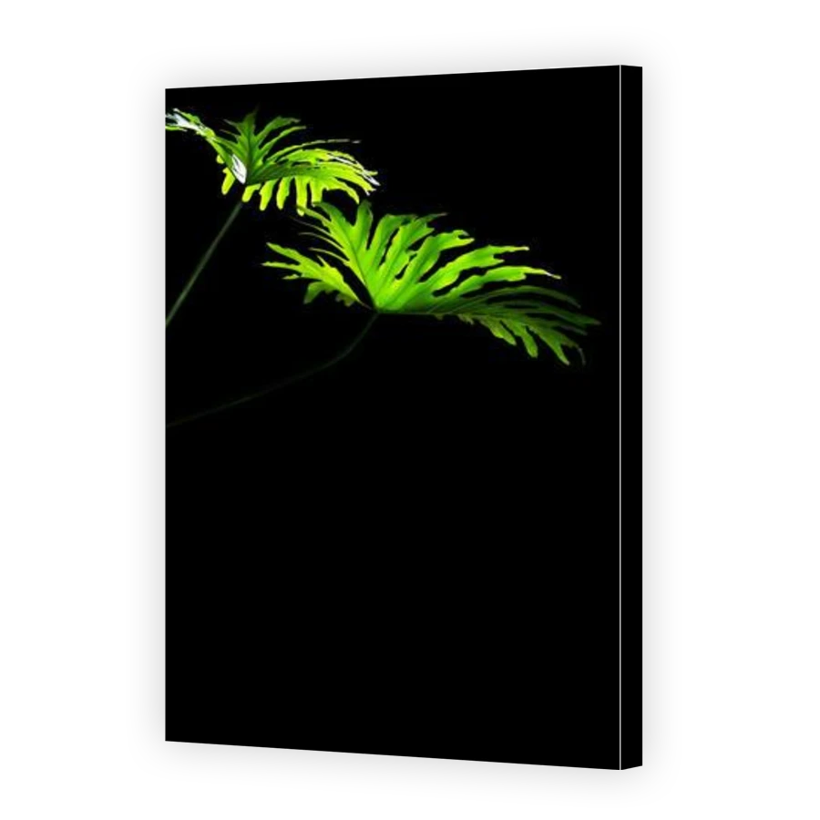 Thumbnail for Canvas - Gallery Canvas Wrap