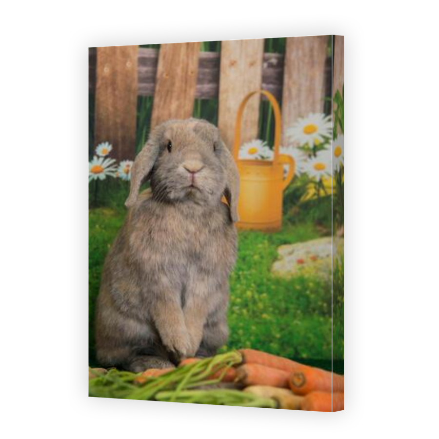 Thumbnail for Canvas - Gallery Canvas Wrap