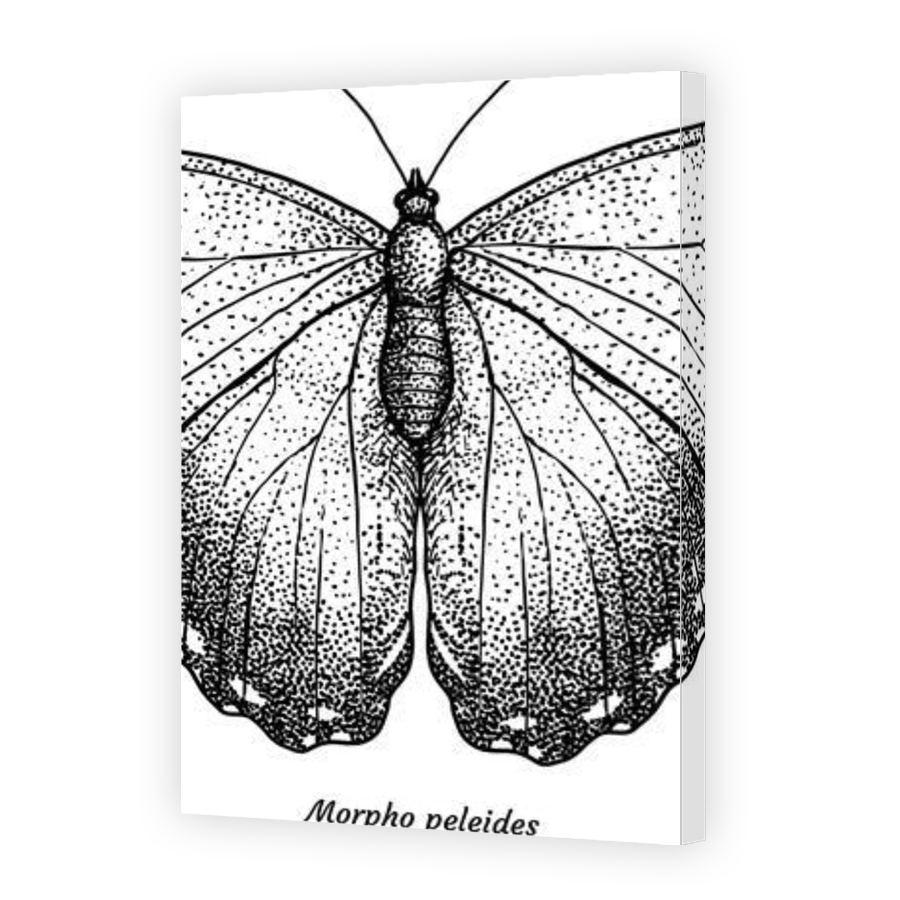 Thumbnail for Canvas - Gallery Canvas Wrap