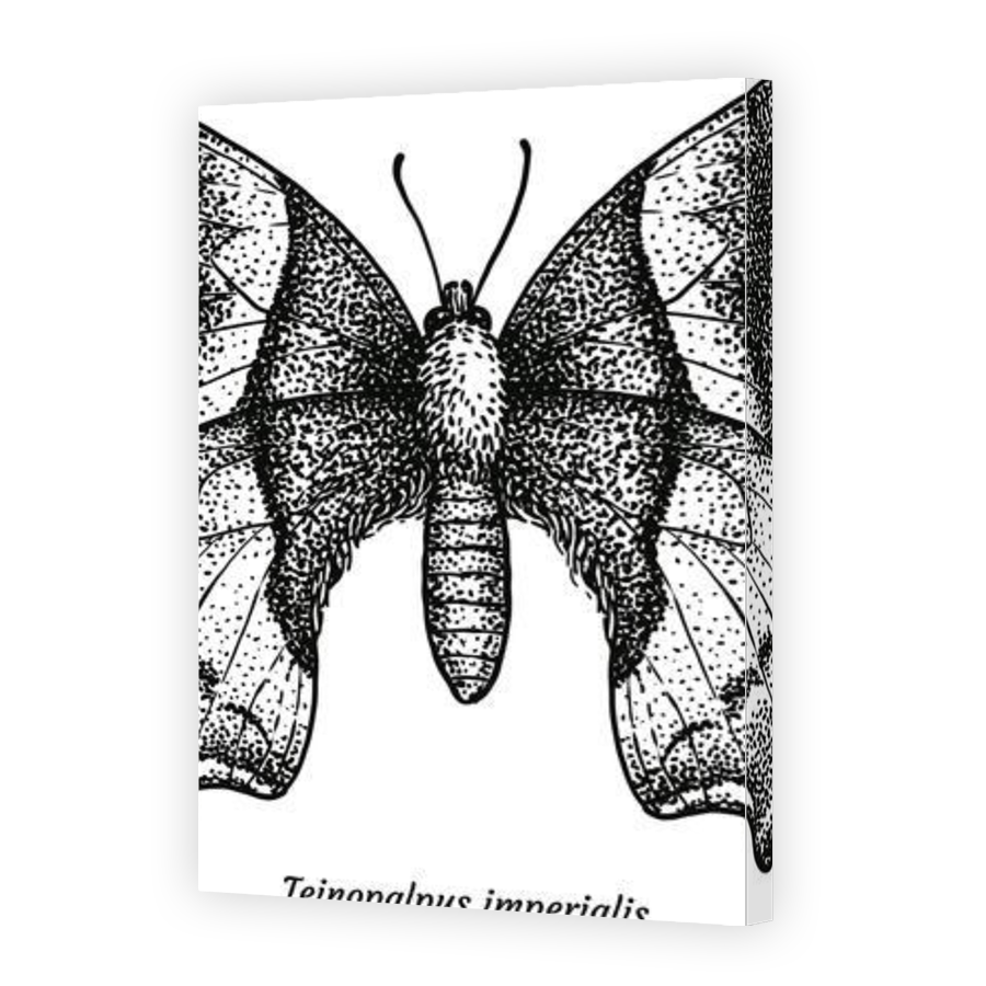 Thumbnail for Canvas - Gallery Canvas Wrap