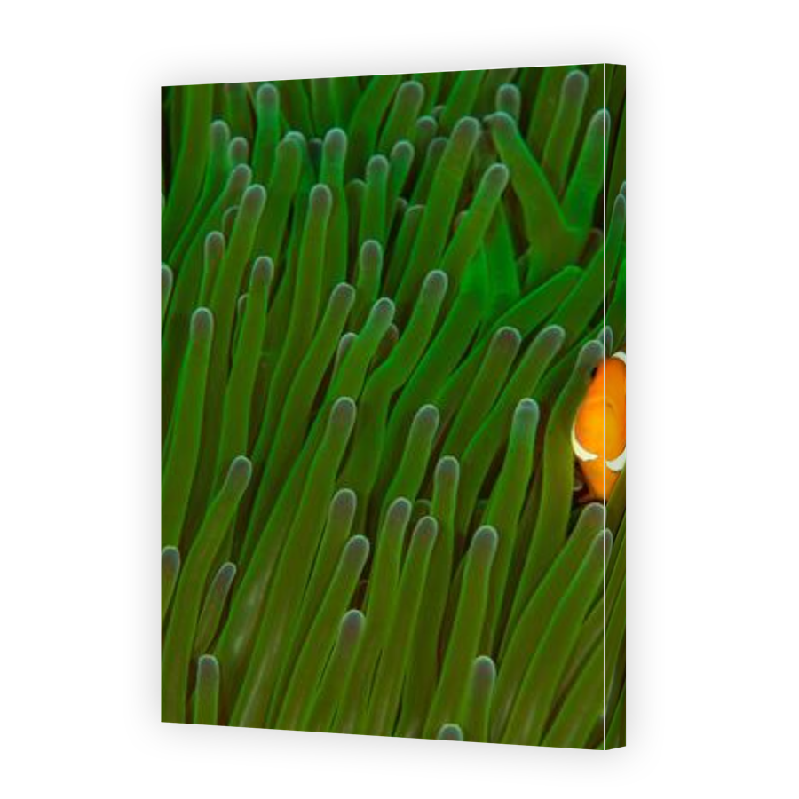 Thumbnail for Canvas - Gallery Canvas Wrap