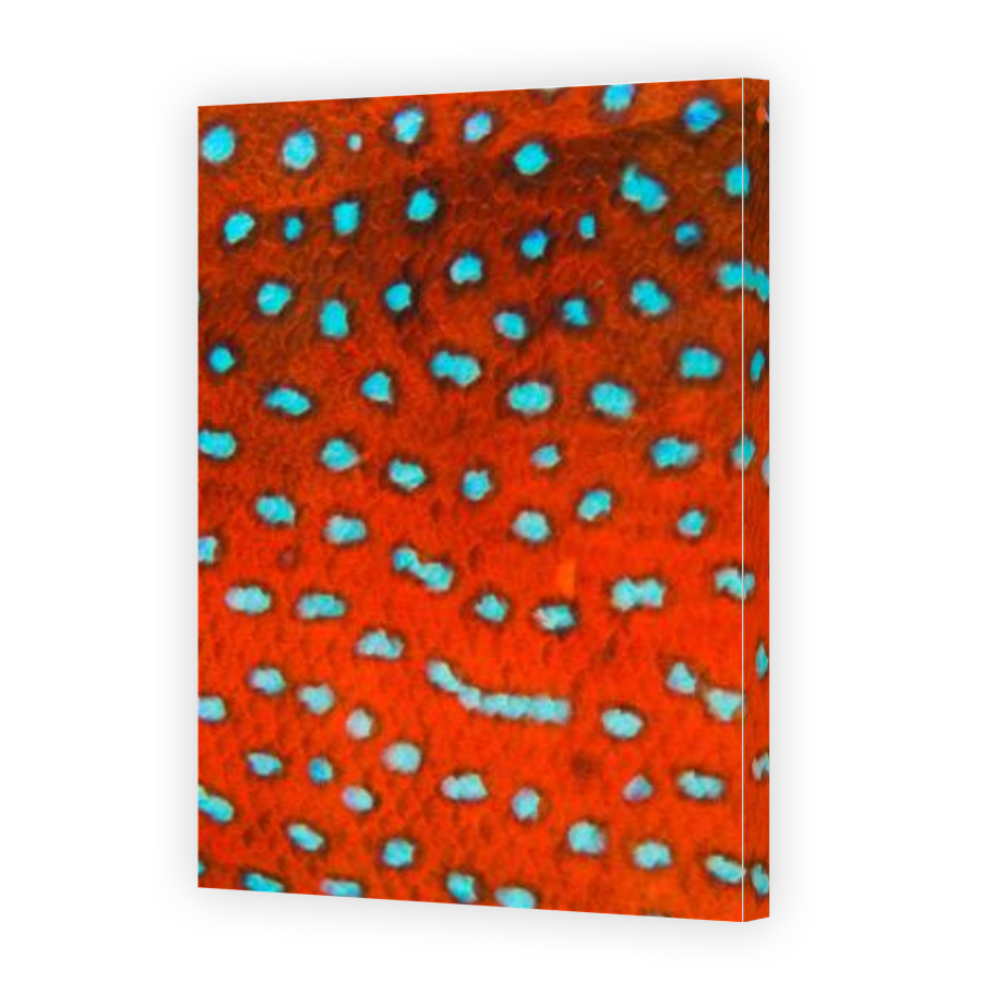 Thumbnail for Canvas - Gallery Canvas Wrap