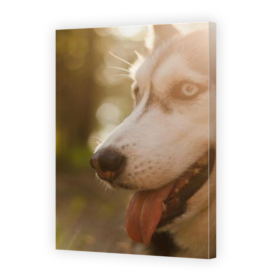 Thumbnail for Canvas - Gallery Canvas Wrap