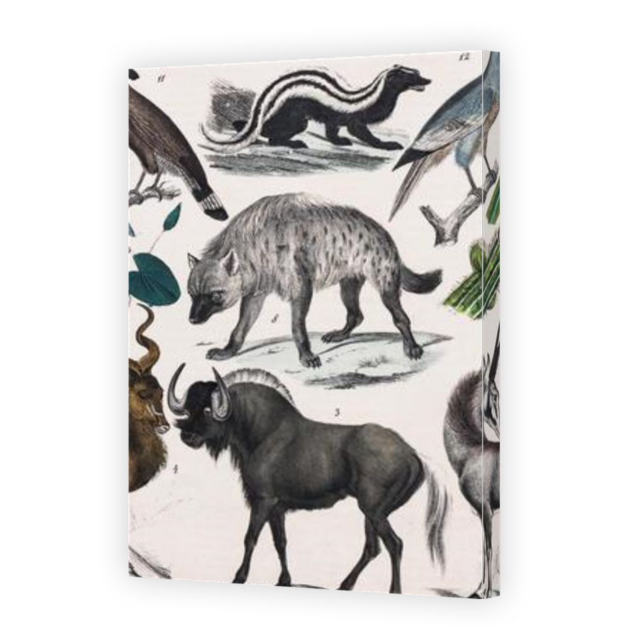 Thumbnail for Canvas - Gallery Canvas Wrap