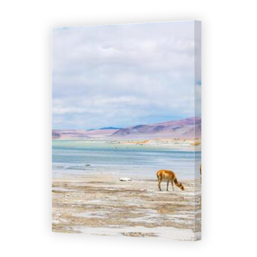 Thumbnail for Canvas - Gallery Canvas Wrap