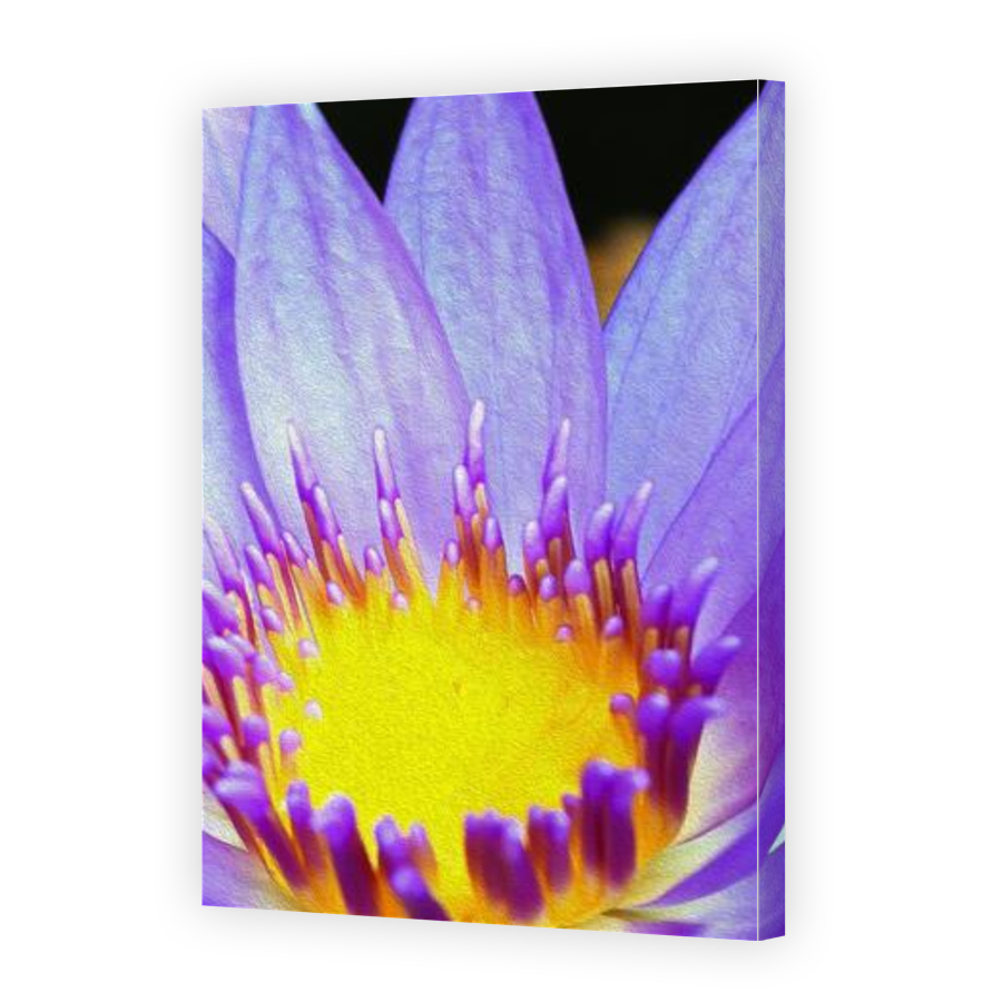 Thumbnail for Canvas - Gallery Canvas Wrap