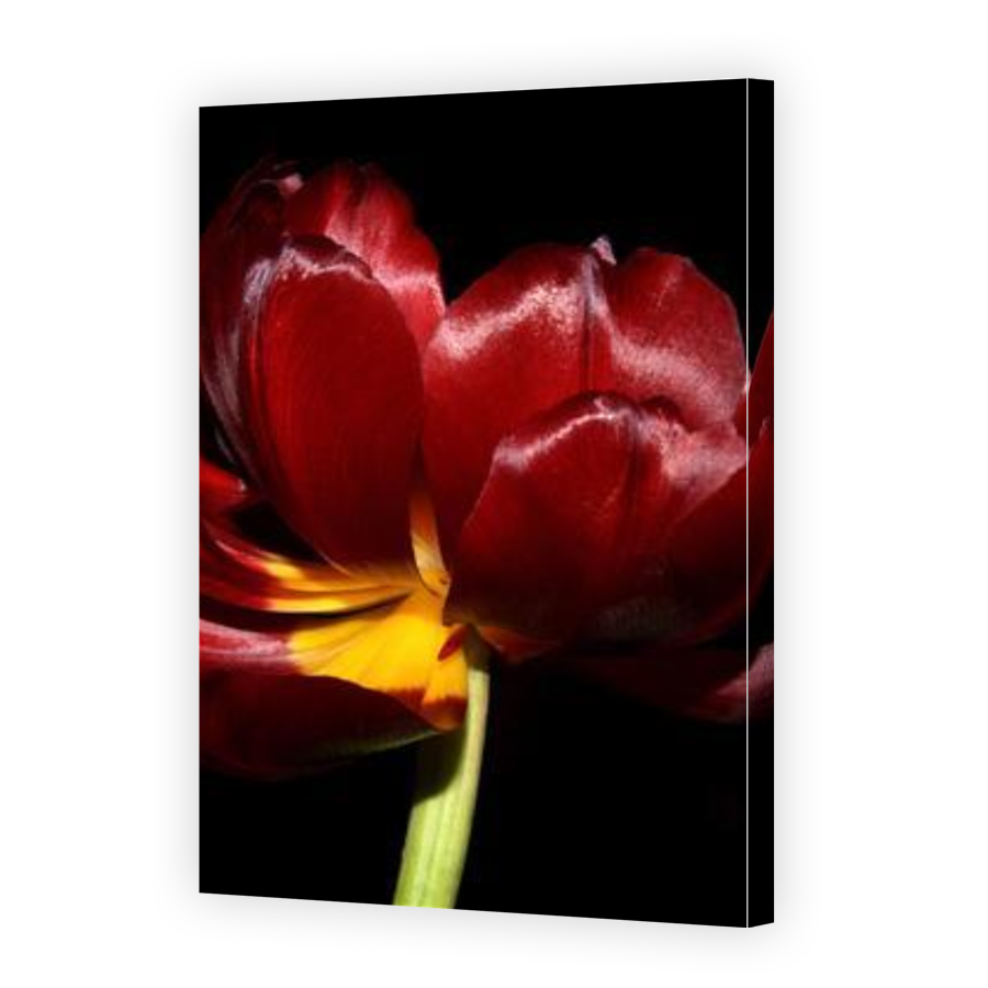 Thumbnail for Canvas - Gallery Canvas Wrap