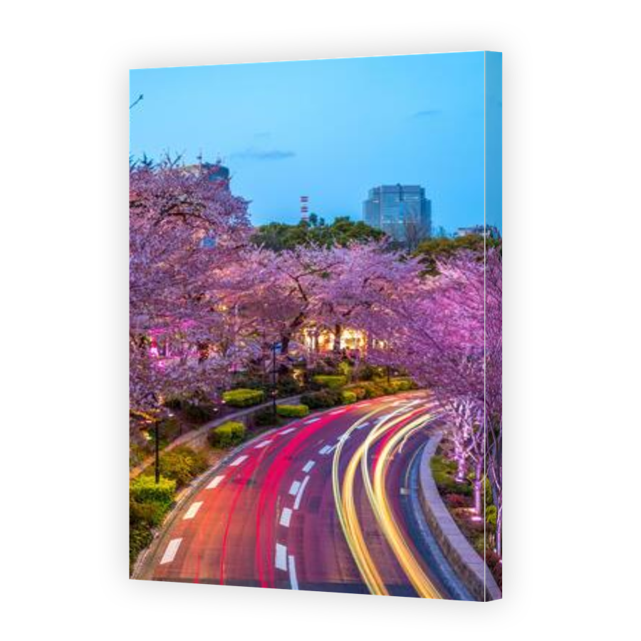 Thumbnail for Canvas - Gallery Canvas Wrap