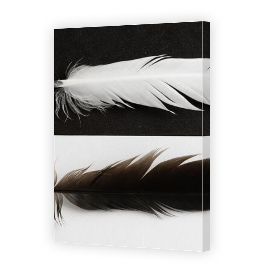 Thumbnail for Canvas - Gallery Canvas Wrap