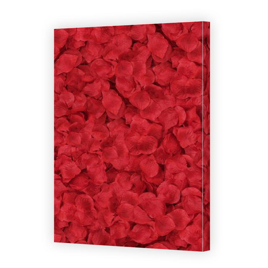 Thumbnail for Canvas - Gallery Canvas Wrap