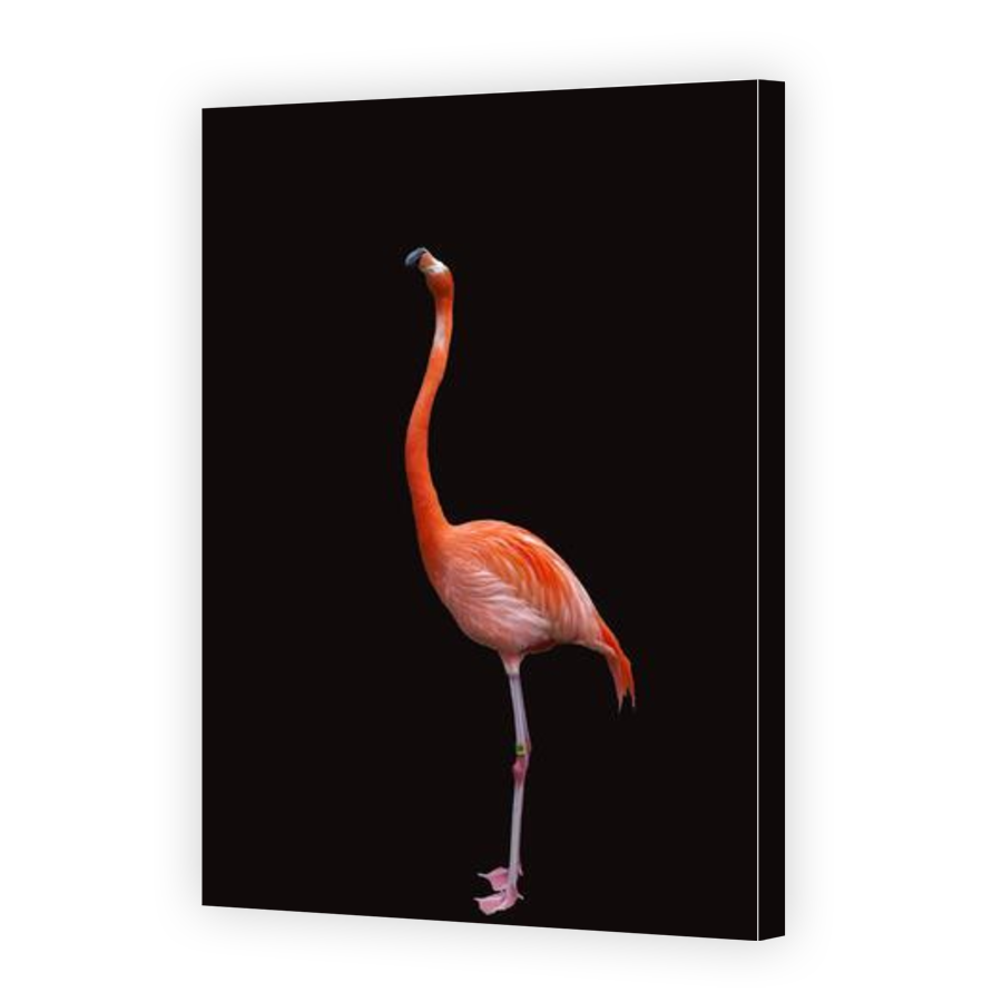 Thumbnail for Canvas - Gallery Canvas Wrap