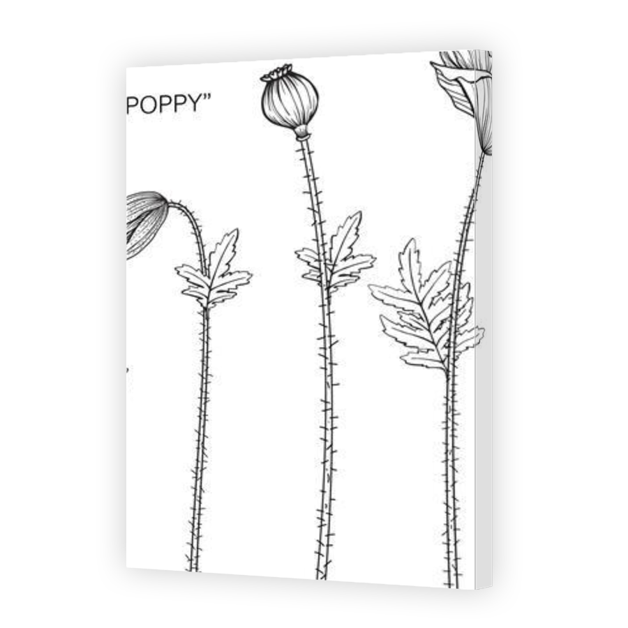 Thumbnail for Canvas - Gallery Canvas Wrap