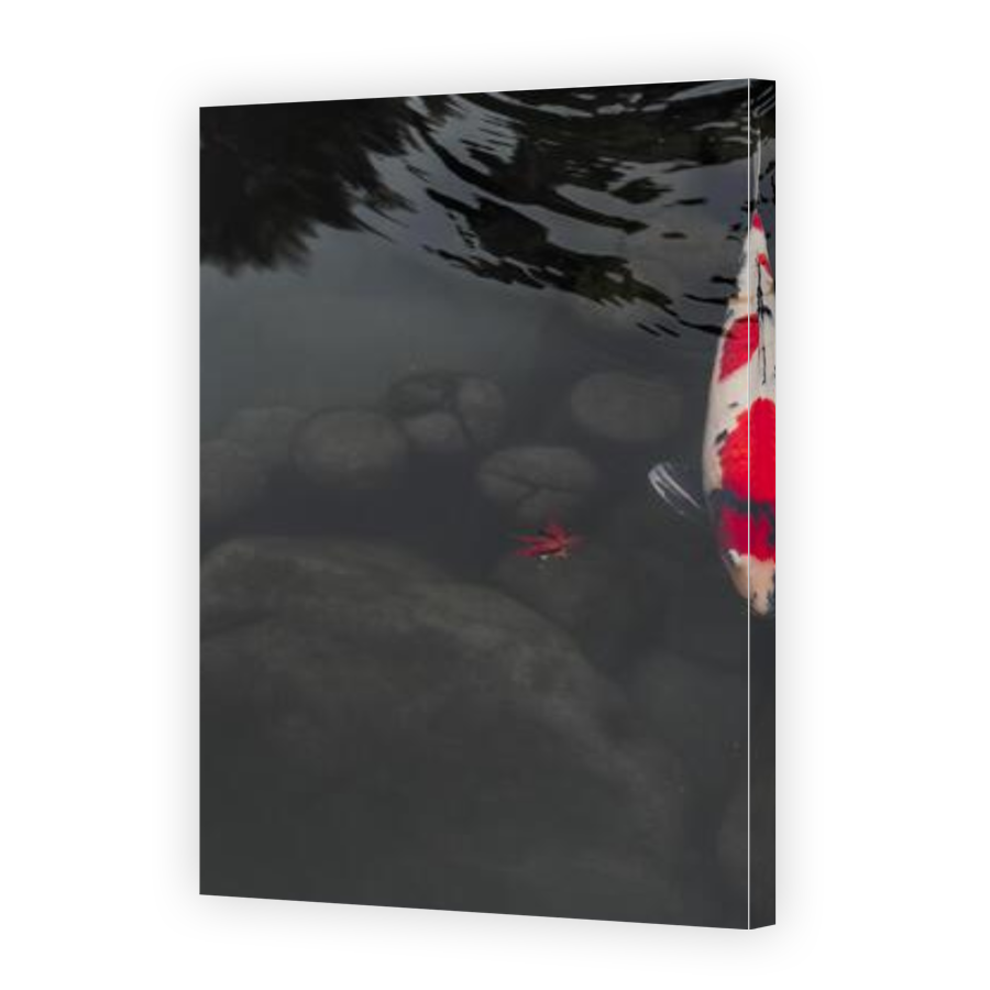 Thumbnail for Canvas - Gallery Canvas Wrap
