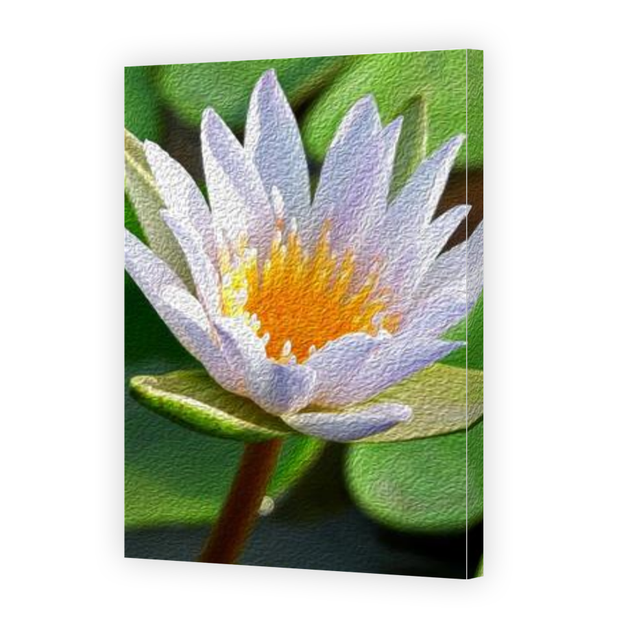 Thumbnail for Canvas - Gallery Canvas Wrap