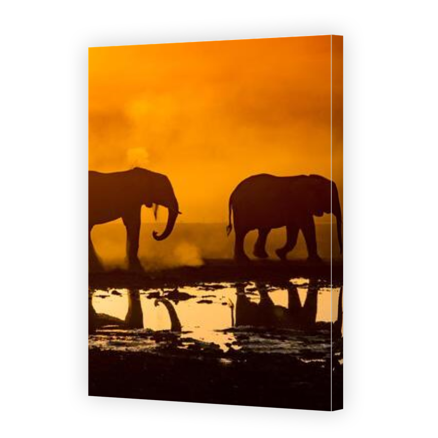 Thumbnail for Canvas - Gallery Canvas Wrap