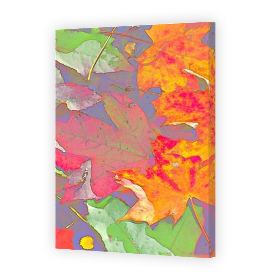 Thumbnail for Canvas - Gallery Canvas Wrap