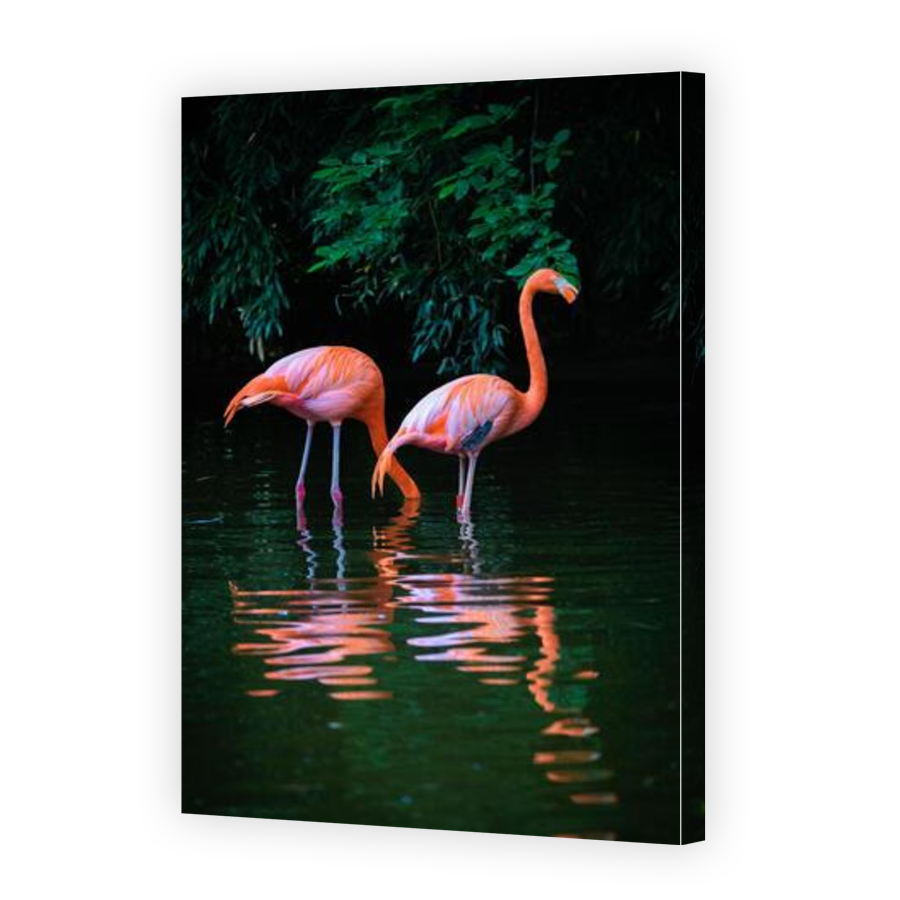 Thumbnail for Canvas - Gallery Canvas Wrap