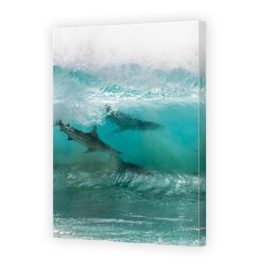 Thumbnail for Canvas - Gallery Canvas Wrap