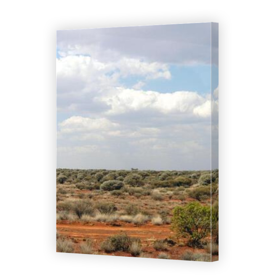 Thumbnail for Canvas - Gallery Canvas Wrap