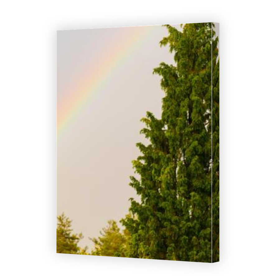 Thumbnail for Canvas - Gallery Canvas Wrap