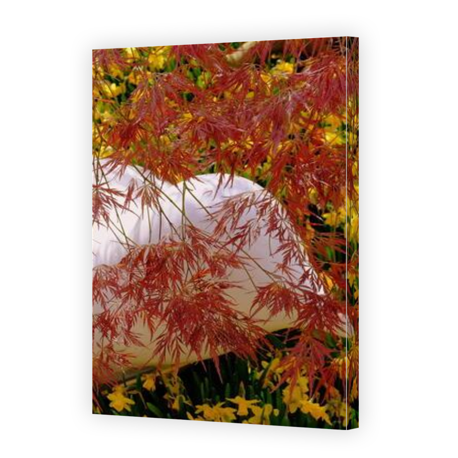 Thumbnail for Canvas - Gallery Canvas Wrap